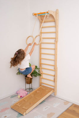 Swedish Wall with Ramp and Gymnastic Rings