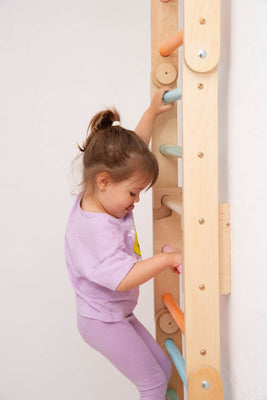 Swedish Wall with Ramp and Gymnastic Rings
