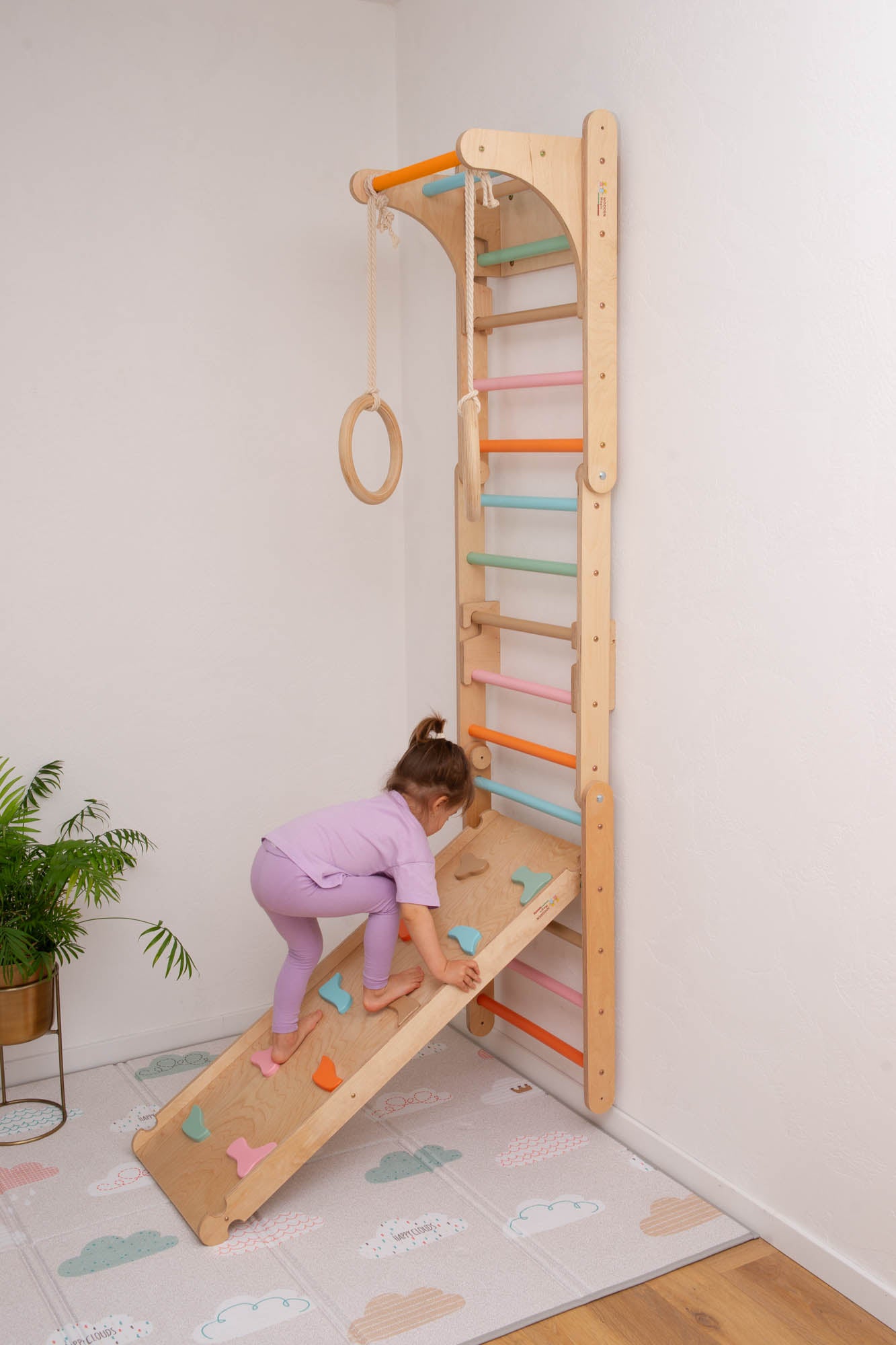 Swedish Wall with Ramp and Gymnastic Rings