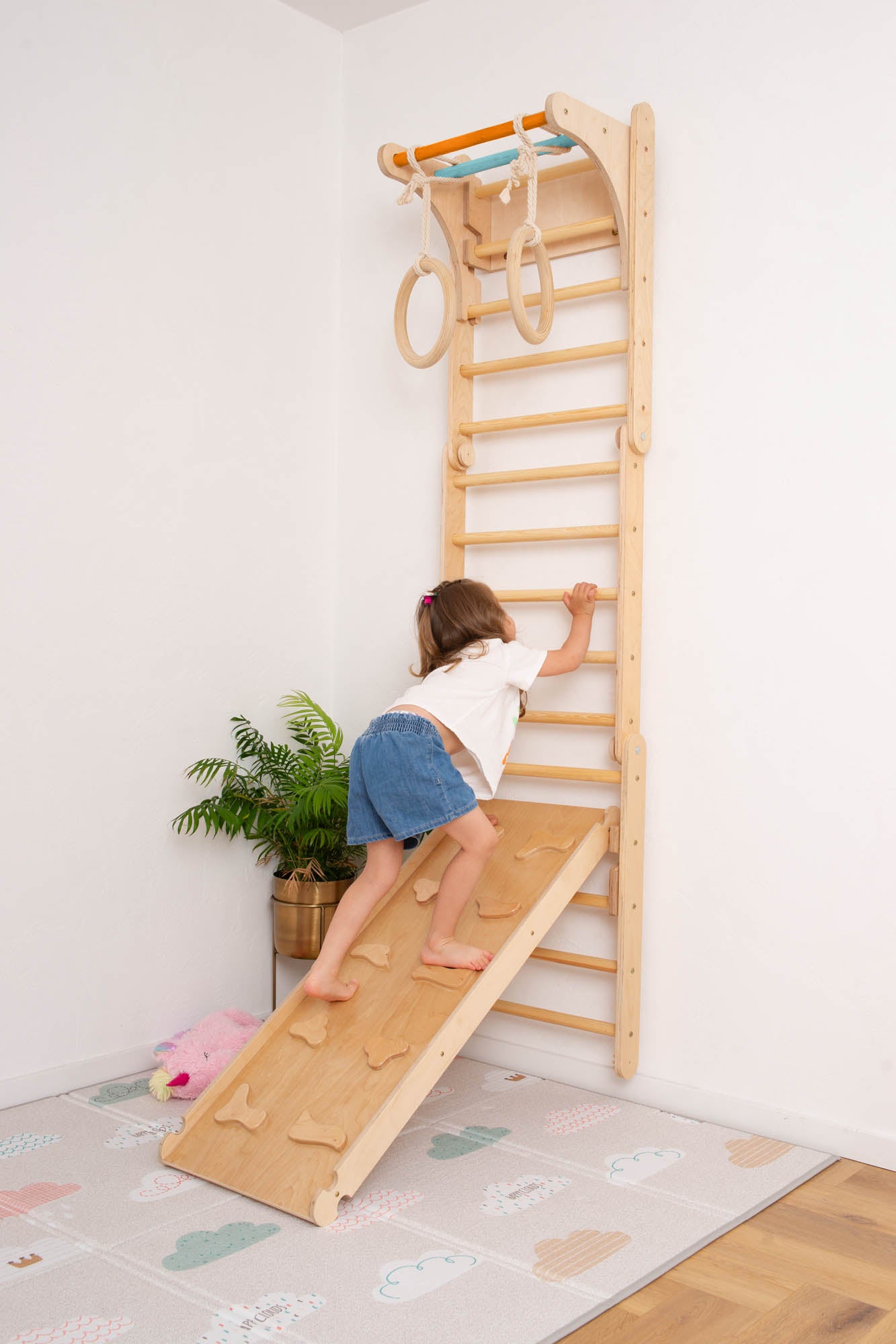 Swedish Wall with Ramp and Gymnastic Rings