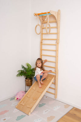 Swedish Wall with Ramp and Gymnastic Rings