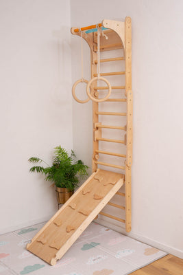 Swedish Wall with Ramp and Gymnastic Rings