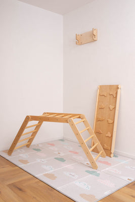 Swedish Wall with Ramp and Gymnastic Rings