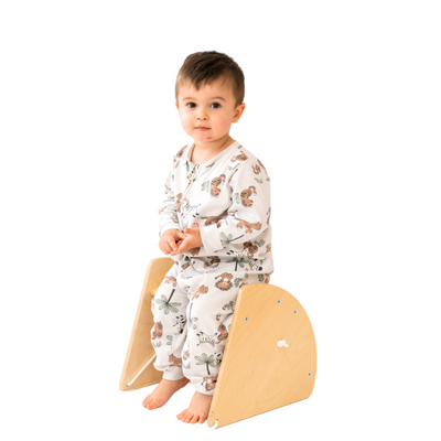 2-in-1 Swing & Seat Wooden Magic